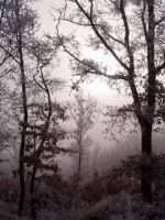 /album/tajkepek/teli-matra-2-jpg/